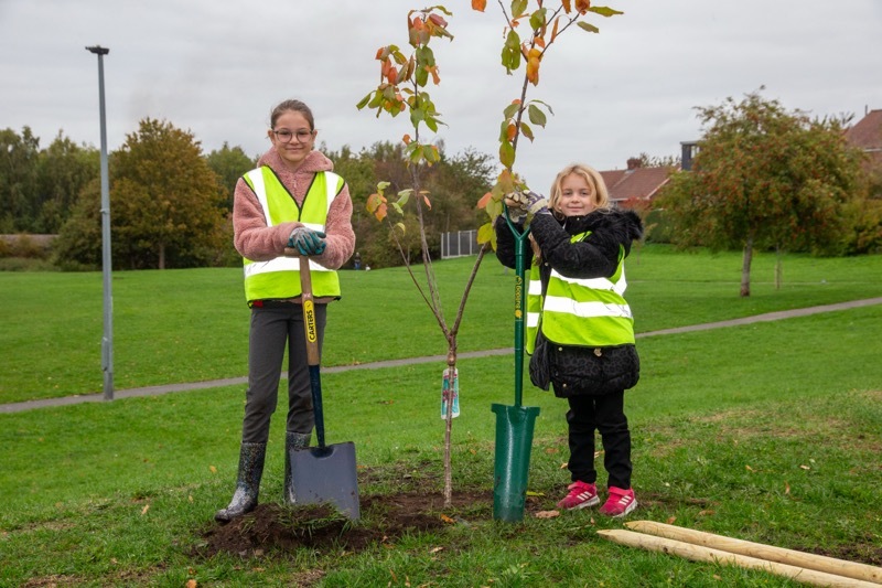 Other image for Pupils dig in to support special tree scheme